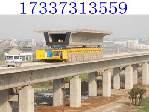 黑龍江牡丹江廠家 運(yùn)梁車倒車技術(shù)溫馨提示